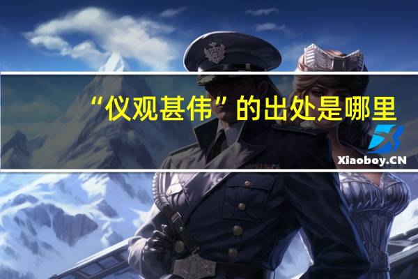 “仪观甚伟”的出处是哪里