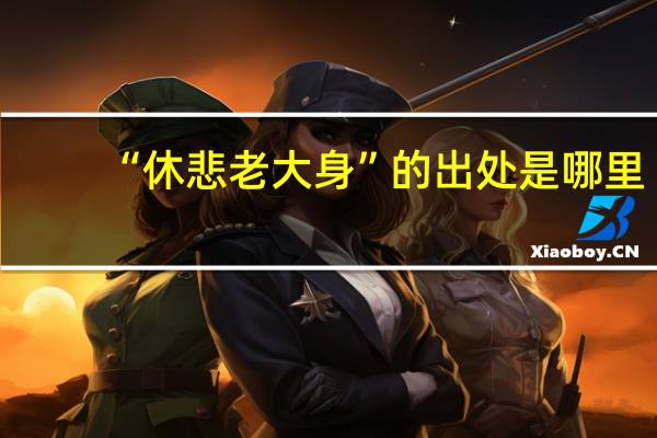 “休悲老大身”的出处是哪里