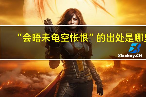 “会晤未龟空怅恨”的出处是哪里