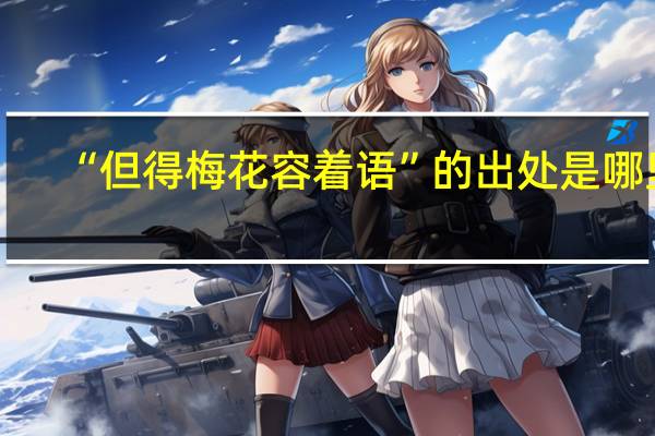 “但得梅花容着语”的出处是哪里