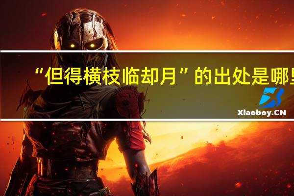 “但得横枝临却月”的出处是哪里