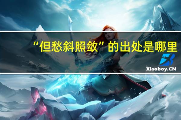 “但愁斜照敛”的出处是哪里