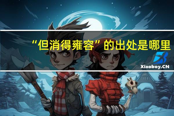 “但消得雍容”的出处是哪里
