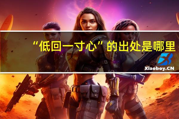 “低回一寸心”的出处是哪里