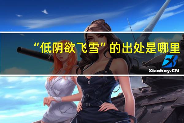 “低阴欲飞雪”的出处是哪里