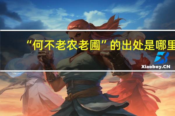“何不老农老圃”的出处是哪里