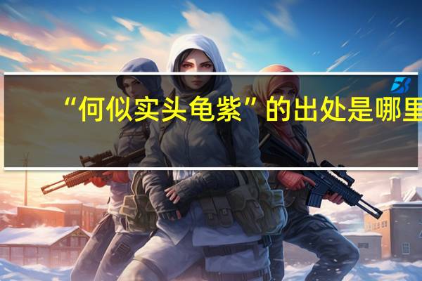 “何似实头龟紫”的出处是哪里