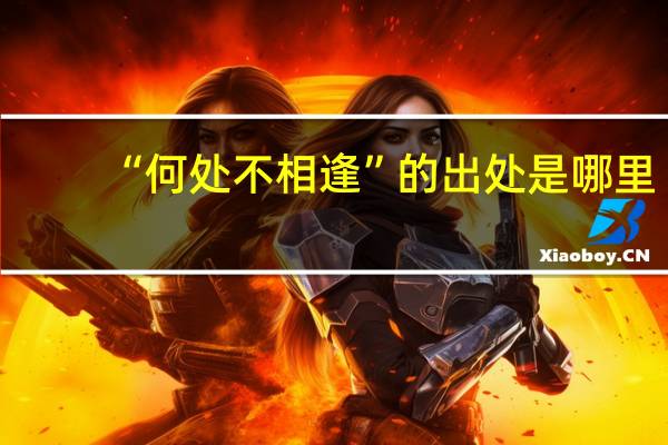 “何处不相逢”的出处是哪里
