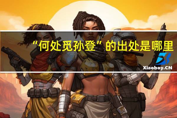 “何处觅孙登”的出处是哪里