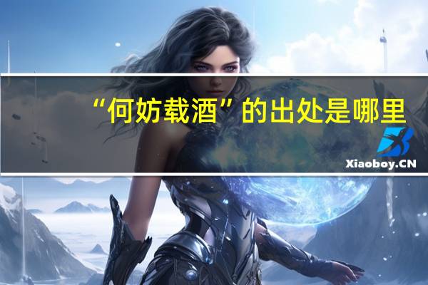 “何妨载酒”的出处是哪里