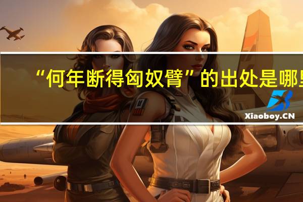 “何年断得匈奴臂”的出处是哪里