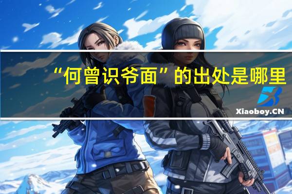 “何曾识爷面”的出处是哪里