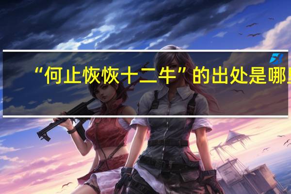 “何止恢恢十二牛”的出处是哪里