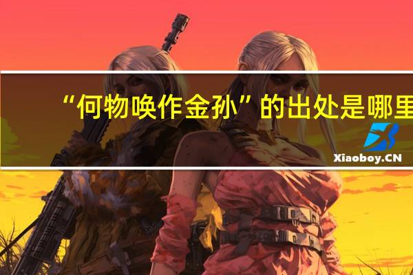 “何物唤作金孙”的出处是哪里