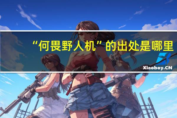 “何畏野人机”的出处是哪里