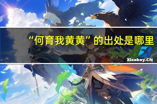 “何育我黄黄”的出处是哪里