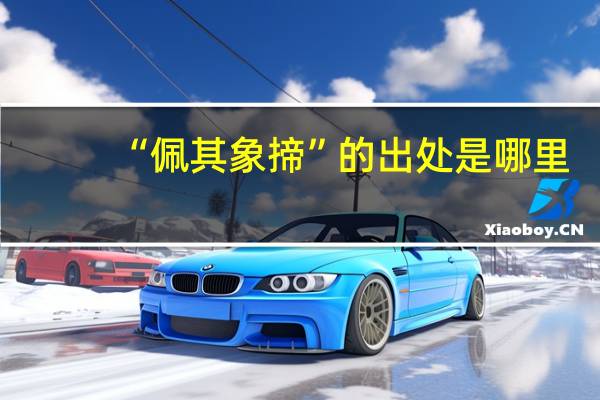 “佩其象揥”的出处是哪里