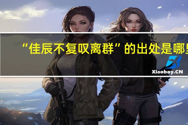 “佳辰不复叹离群”的出处是哪里
