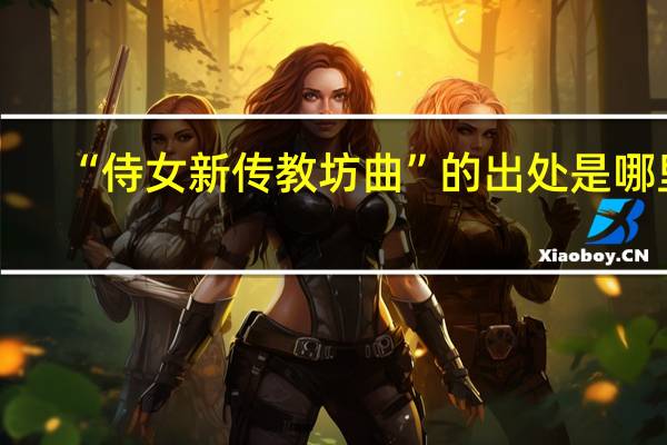 “侍女新传教坊曲”的出处是哪里