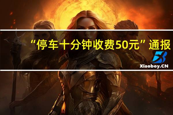 “停车十分钟收费50元”通报:涉事企业5倍罚款停业60日