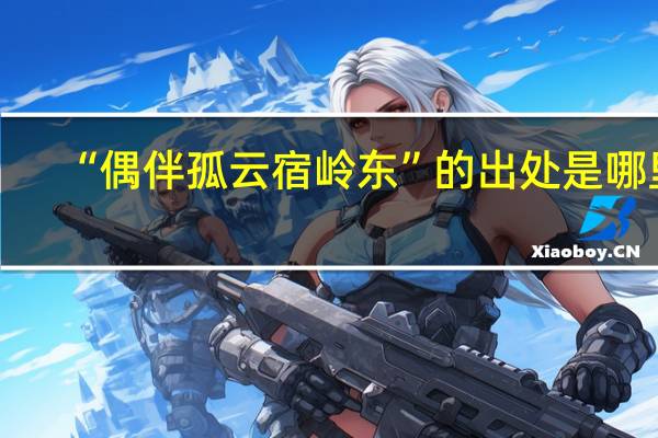 “偶伴孤云宿岭东”的出处是哪里