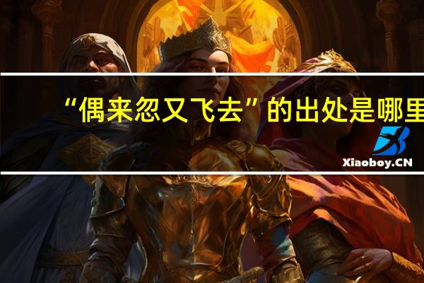 “偶来忽又飞去”的出处是哪里