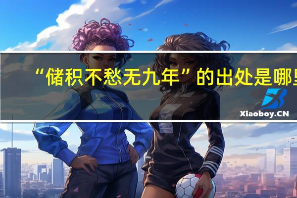 “储积不愁无九年”的出处是哪里