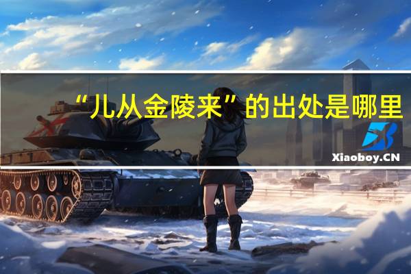 “儿从金陵来”的出处是哪里