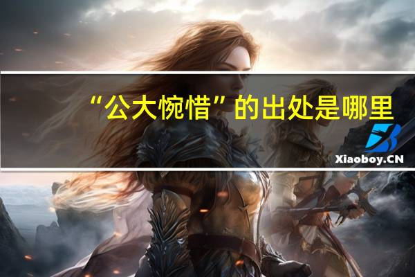 “公大惋惜”的出处是哪里