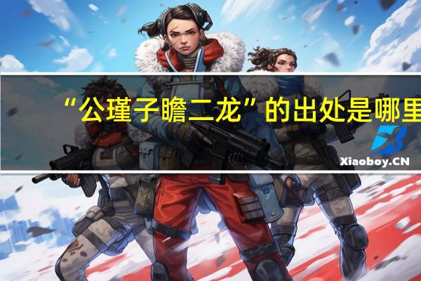 “公瑾子瞻二龙”的出处是哪里