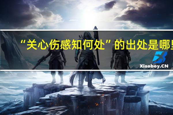 “关心伤感知何处”的出处是哪里