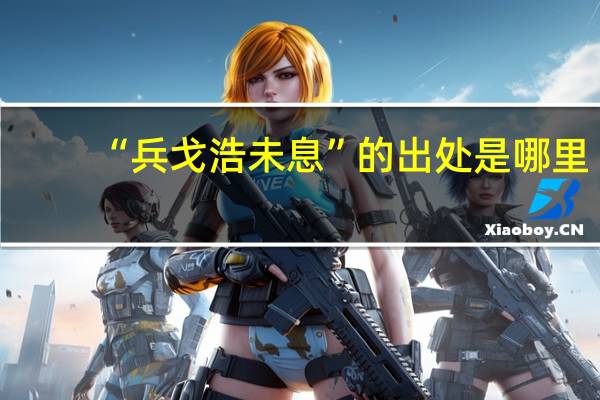 “兵戈浩未息”的出处是哪里