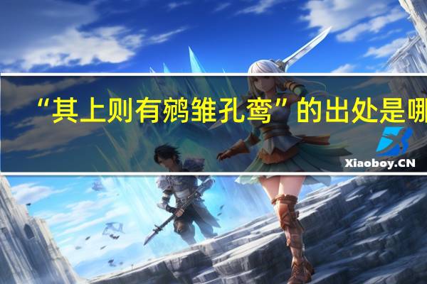 “其上则有鹓雏孔鸾”的出处是哪里