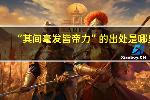 “其间毫发皆帝力”的出处是哪里