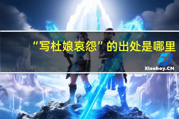 “写杜娘哀怨”的出处是哪里