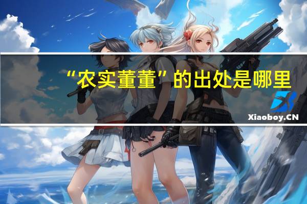 “农实董董”的出处是哪里