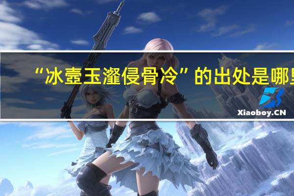 “冰壼玉瀣侵骨冷”的出处是哪里