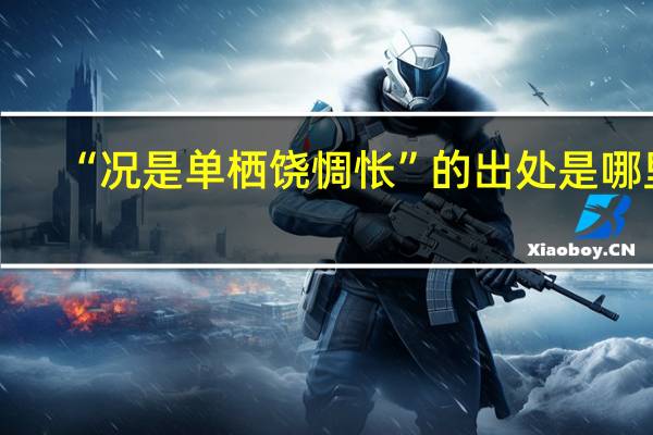 “况是单栖饶惆怅”的出处是哪里