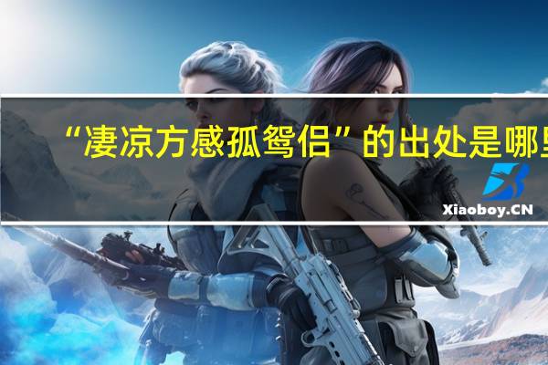 “凄凉方感孤鸳侣”的出处是哪里