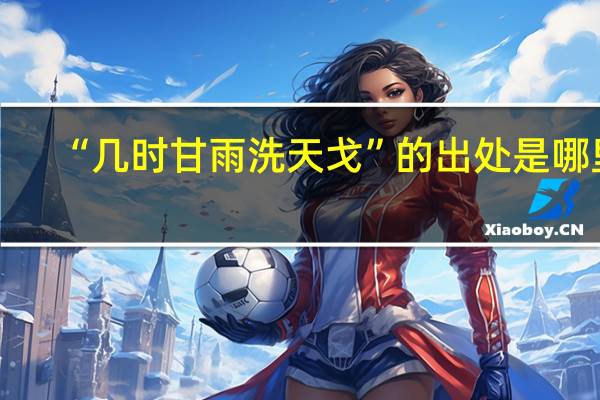 “几时甘雨洗天戈”的出处是哪里