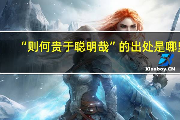 “则何贵于聪明哉”的出处是哪里
