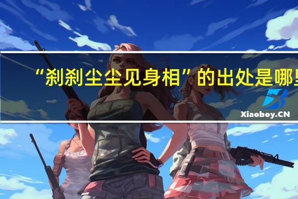 “刹刹尘尘见身相”的出处是哪里