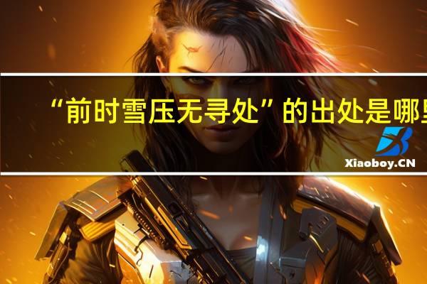 “前时雪压无寻处”的出处是哪里