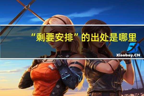 “剩要安排”的出处是哪里