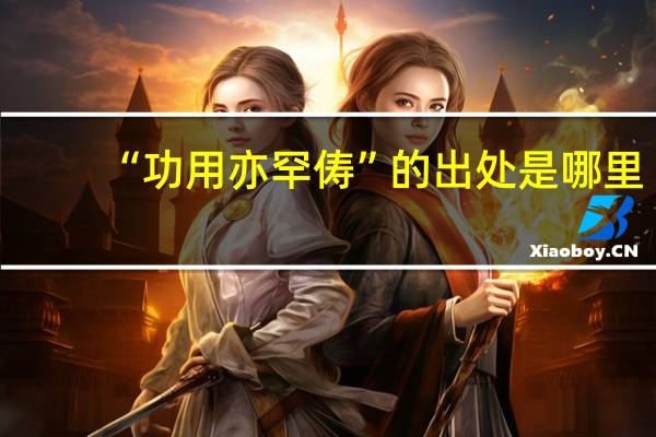 “功用亦罕俦”的出处是哪里