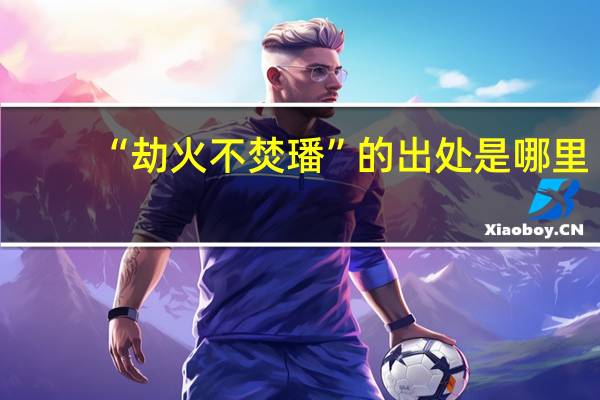 “劫火不焚璠”的出处是哪里