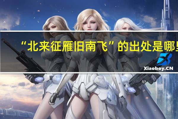 “北来征雁旧南飞”的出处是哪里