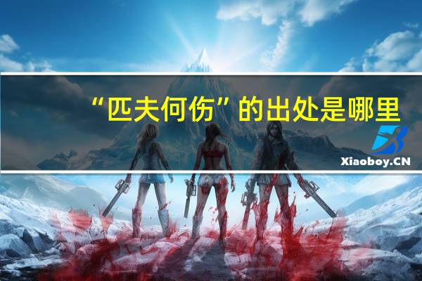 “匹夫何伤”的出处是哪里