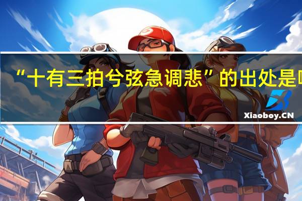 “十有三拍兮弦急调悲”的出处是哪里