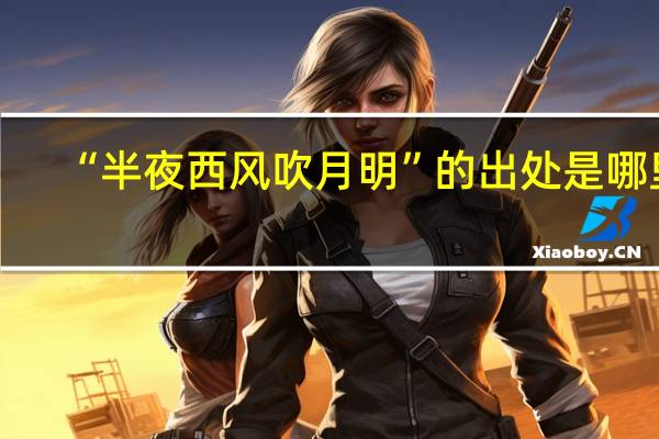 “半夜西风吹月明”的出处是哪里